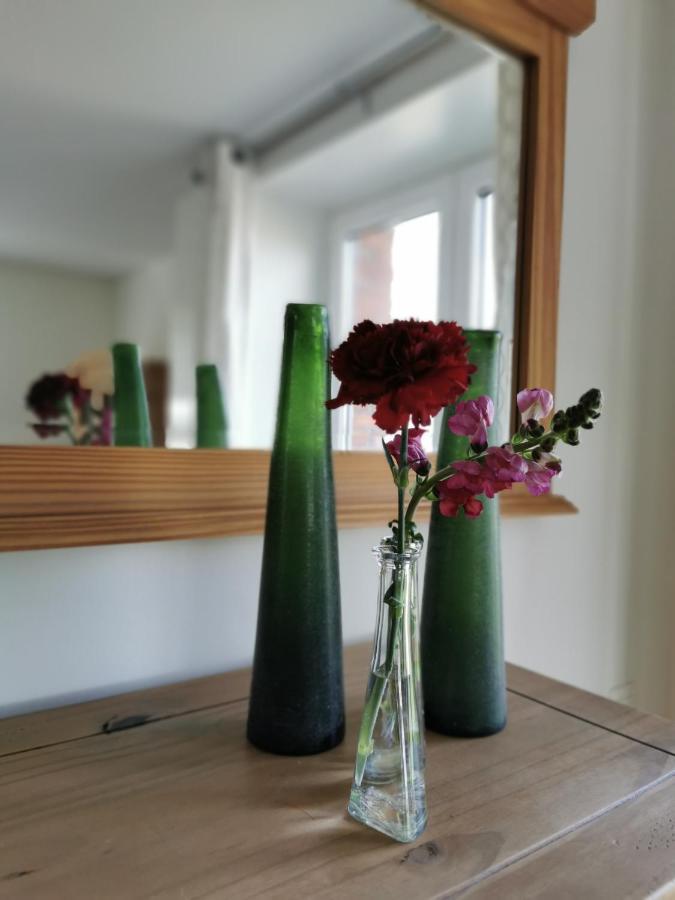 Housing De Brouwerij Bed & Breakfast Westdorpe ภายนอก รูปภาพ