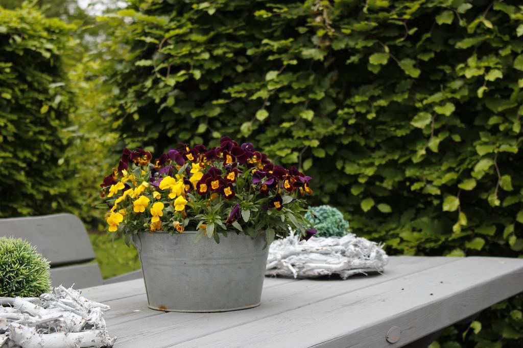 Housing De Brouwerij Bed & Breakfast Westdorpe ภายนอก รูปภาพ
